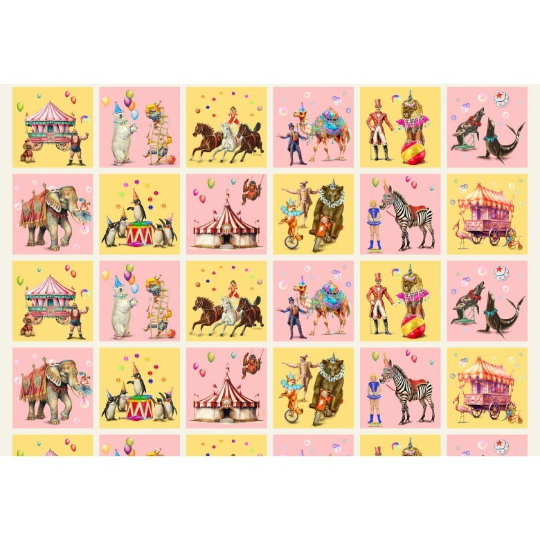 A Night at the Circus - Circus