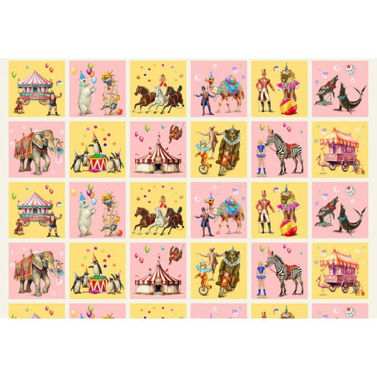 A Night at the Circus - Circus