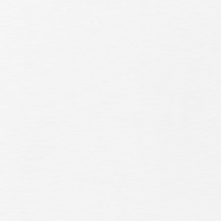 Big Sur Canvas - White