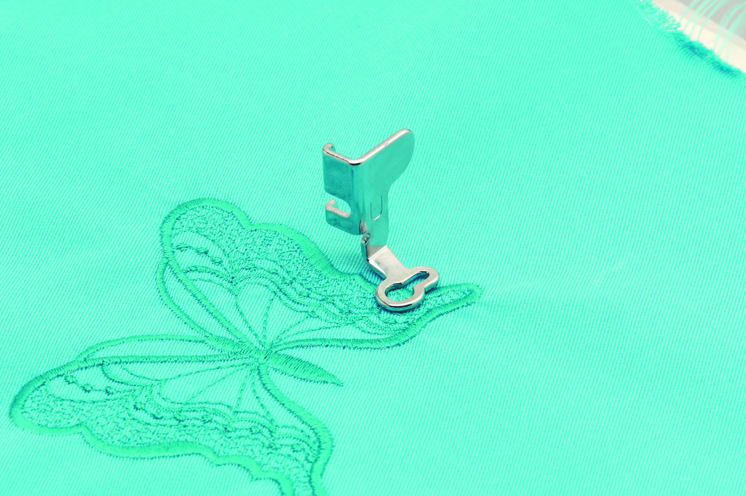 Slide image