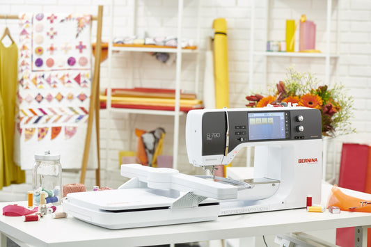 Bernina 790 PRO