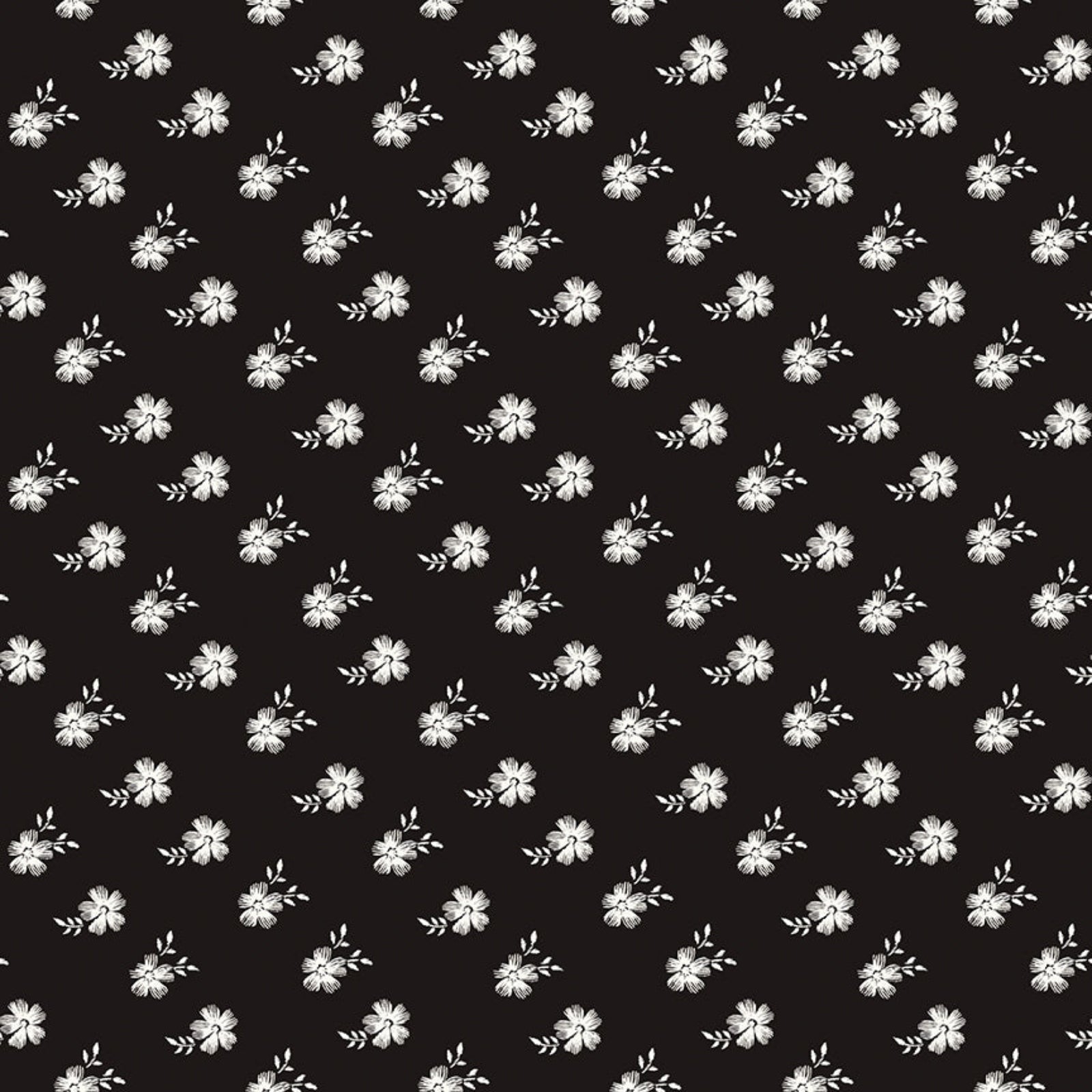 Pattern of small white flowers on a black background