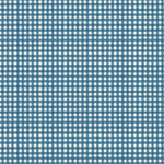 Blue and white checkered pattern