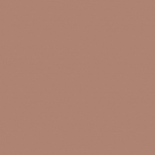 POParazzi - Cinnamon