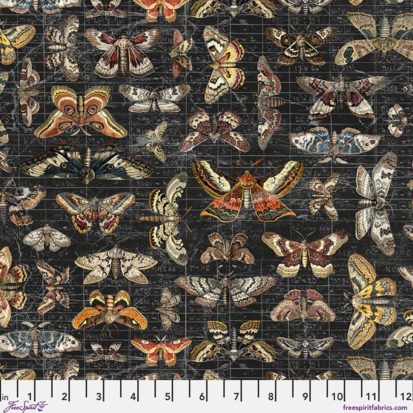 Pattern of various moths on a grid background with measurement scale.