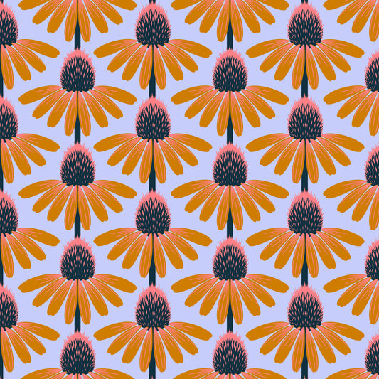 Echinacea - Cotton Lawn - Morning