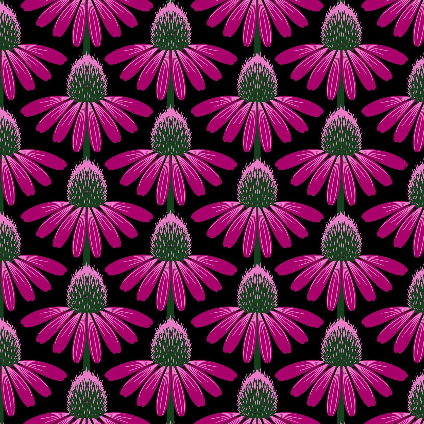 Echinacea - Cotton Lawn - Ruby