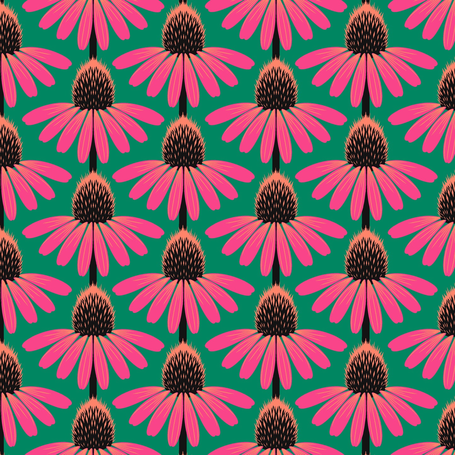 Echinacea - Cotton Lawn - Sunset