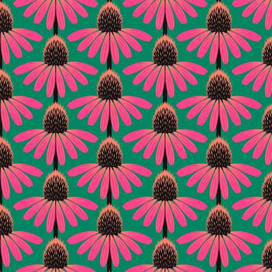 Echinacea - Cotton Lawn - Sunset