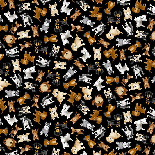 Tossed Small Dogs