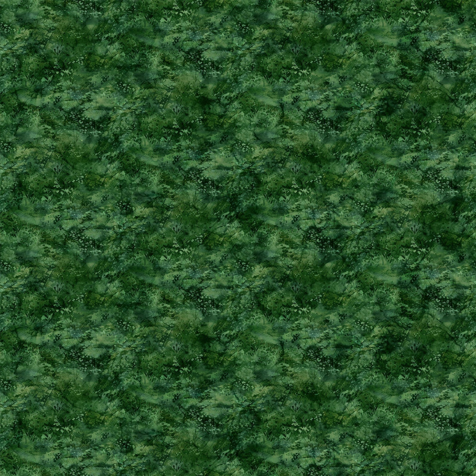 A close-up texture of dense green foliage 