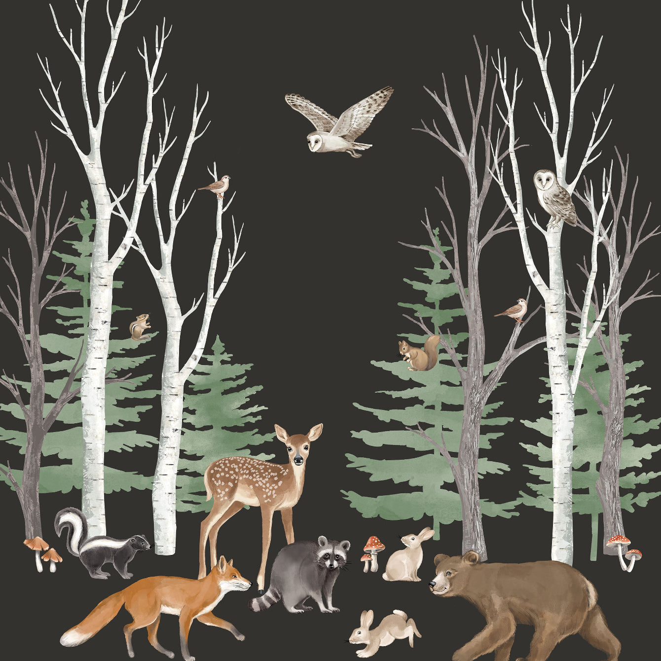Illustration of various forest animals in a dark forest setting with trees and birds.