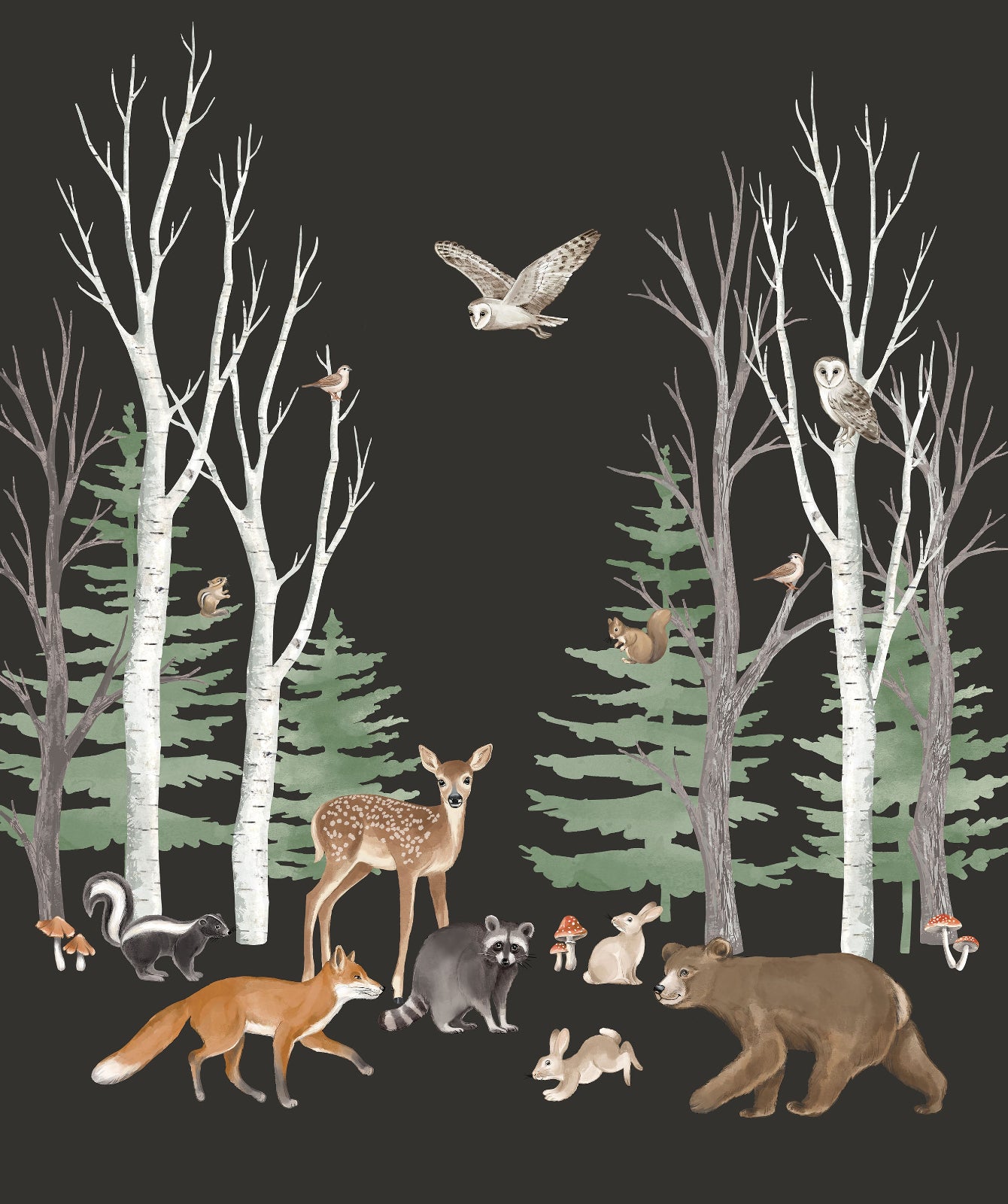 Illustration of various forest animals in a dark forest setting with trees and birds.