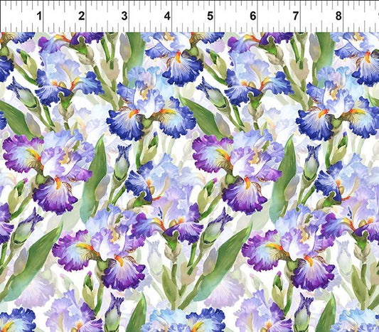 Decoupage - Iris - Purple
