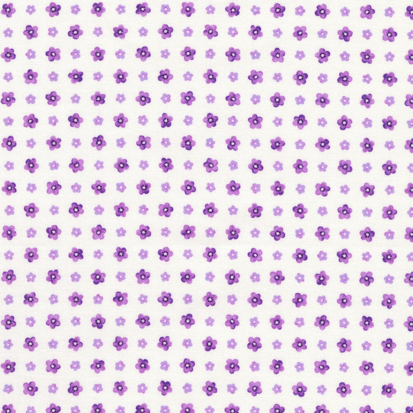 Pattern of small purple flowers on a white background