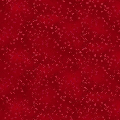 Born to be Wild - Folio - Red