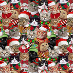 Collage of cats wearing Christmas-themed accessories including hats, scarves, and glasses.