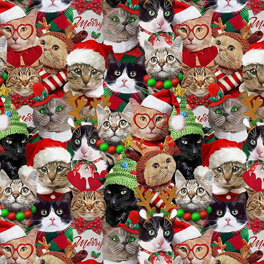 Collage of cats wearing Christmas-themed accessories including hats, scarves, and glasses.