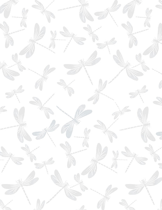 White on White - Dragonflies