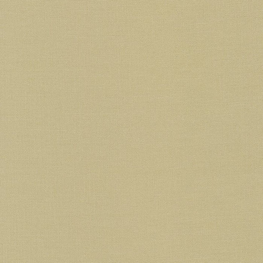 Kona Solid - Limestone