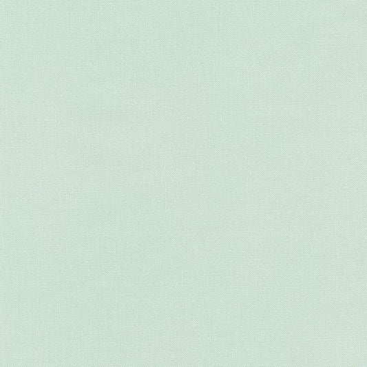 Kona Solid - Desert Green