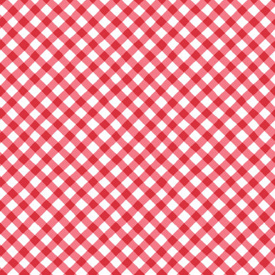 Pre-Order - Sippin' On Sunshine - Bias Gingham - Red