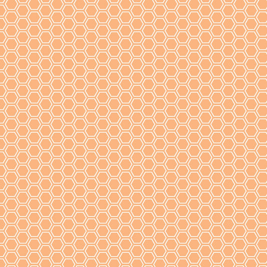 Kimberbell Basics - Honeycomb - Orange