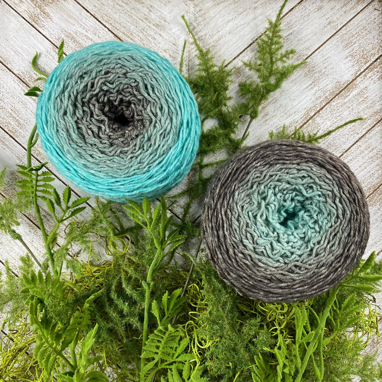 Mad Hatter - Blossoms - Agave