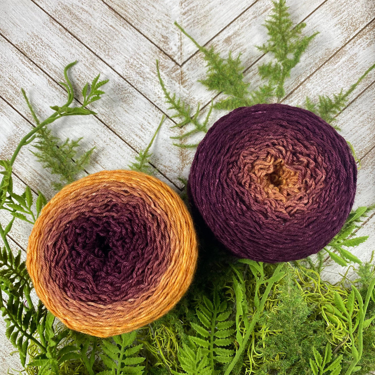 Mad Hatter - Blossoms - French Marigold