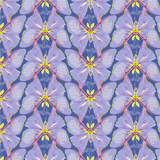 Insectarium - Luna - Periwinkle