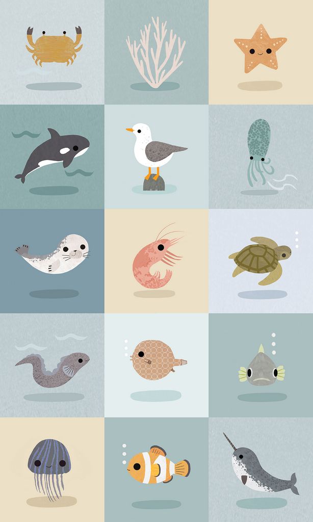 Beyond the Sea Collection