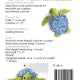 Sea Turtle Pin Cushion and Thread Catcher