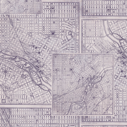 Eclectic Elements - Purple - Maps