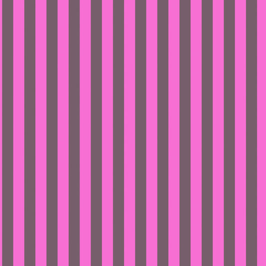 True Colors Neon - Tent Stripe - Mystic