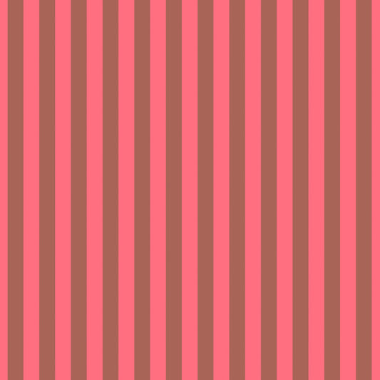 True Colors Neon - Tent Stripe - Nova