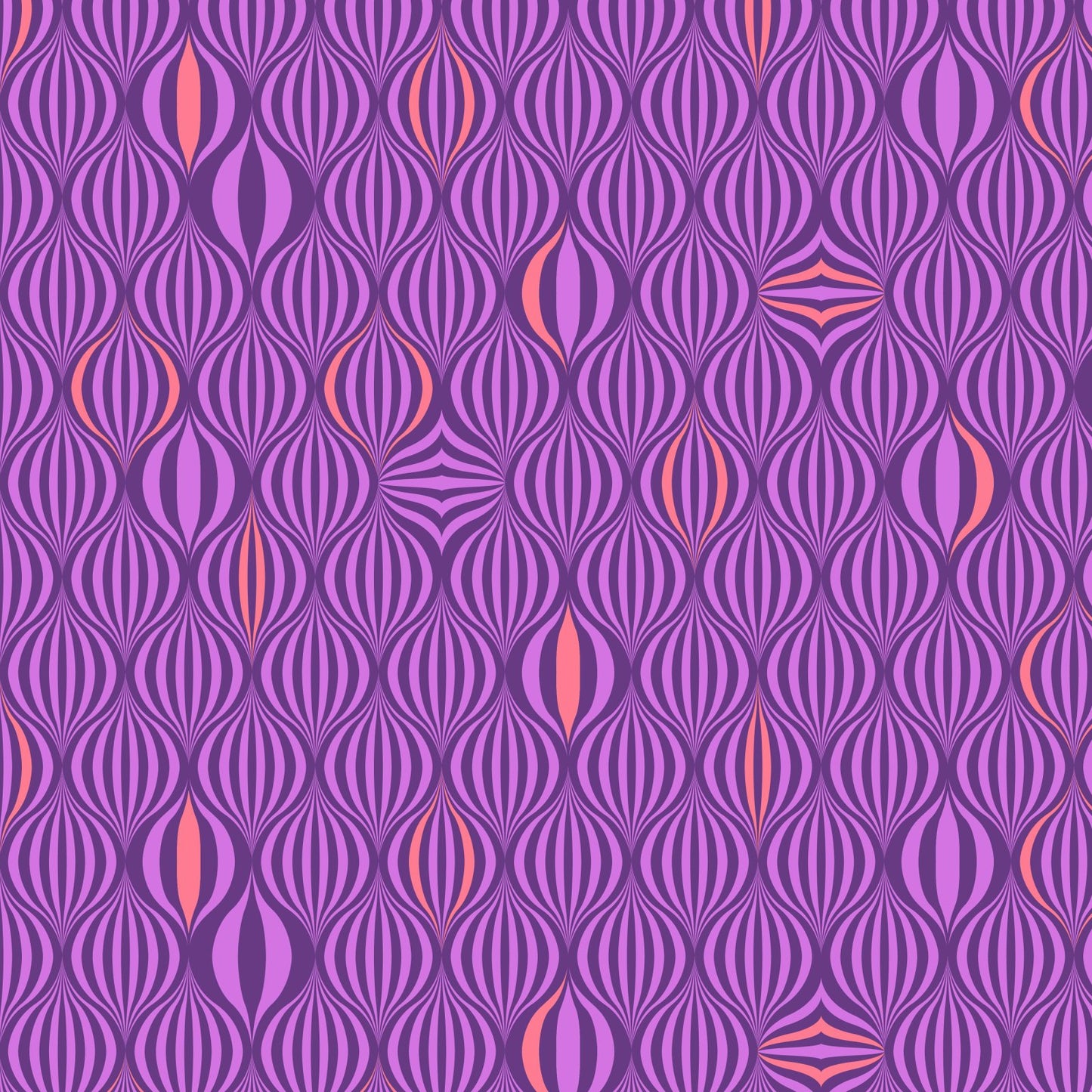 Untamed - Light the Way - Nova