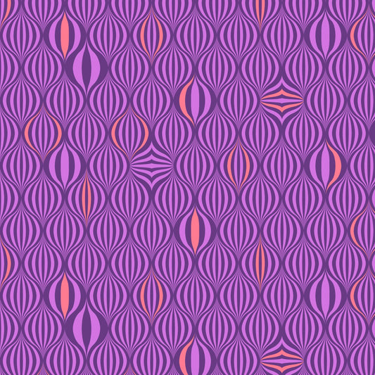 Untamed - Light the Way - Nova