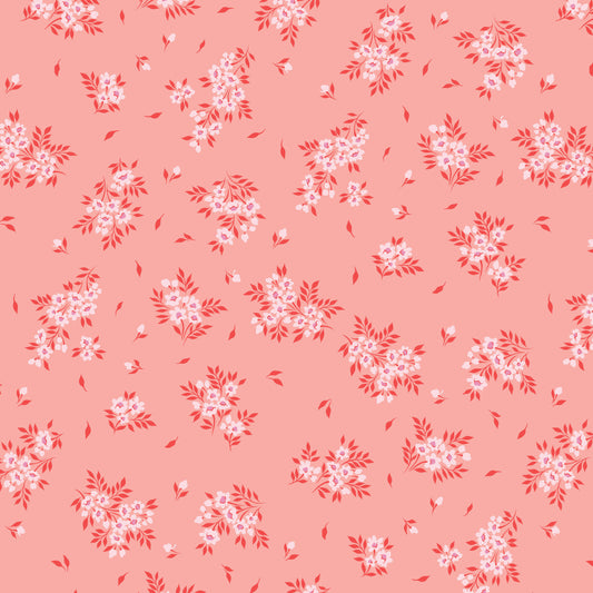 2025 True Colors - What a Ditz - Peachy Keen