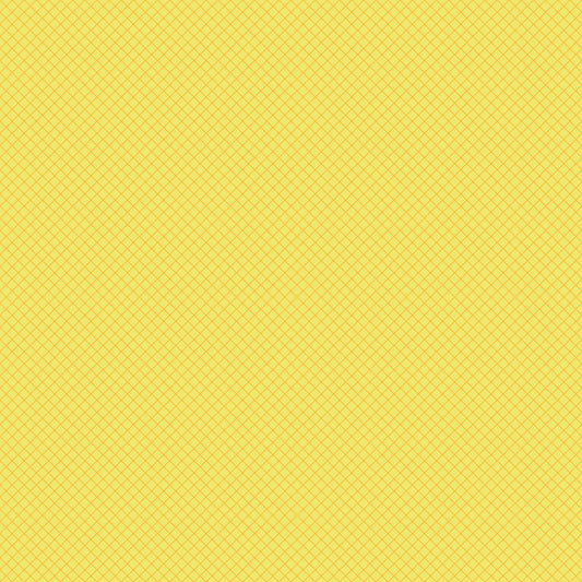 2025 True Colors - On the Grid - Highlighter