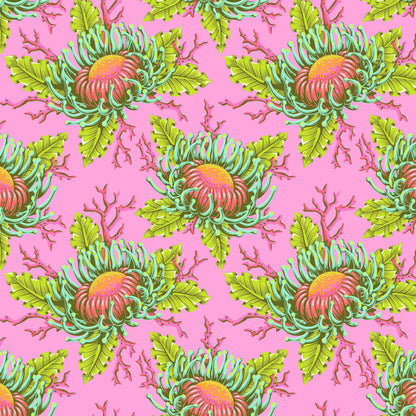 Floral Reef - Friends & Anemones - Coralline