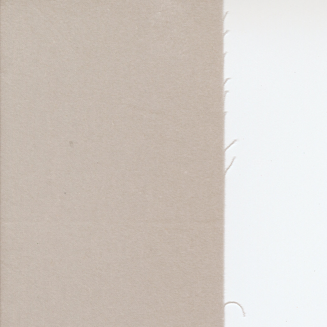 Prairie Gatherings Flannel - Primitive Muslin - Feather