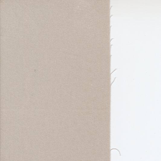 Prairie Gatherings Flannel - Primitive Muslin - Feather