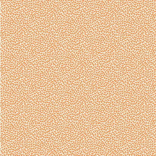 Aunt Grace - Rice - Orange