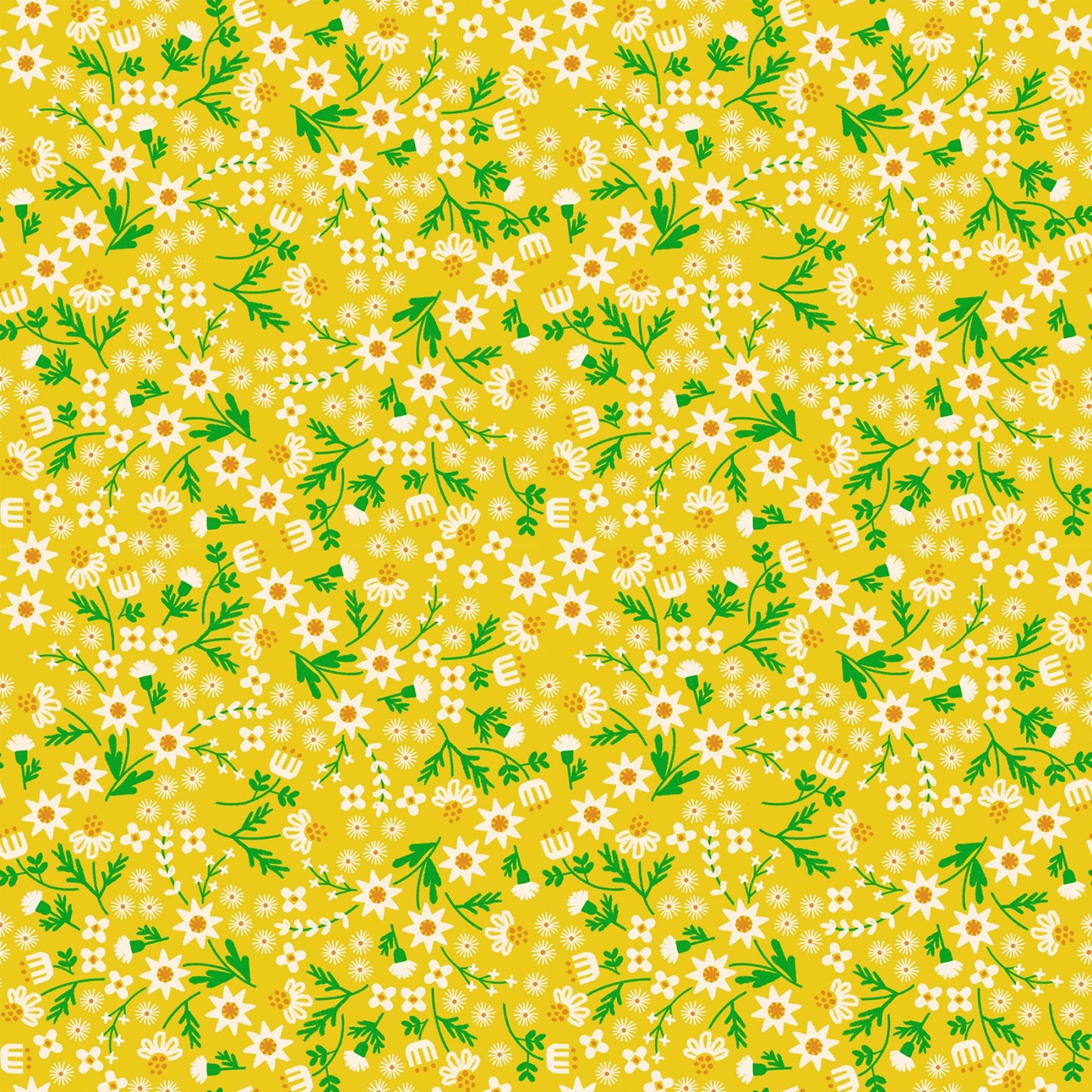 Favorite Flowers - Inflorescence - Golden Hour