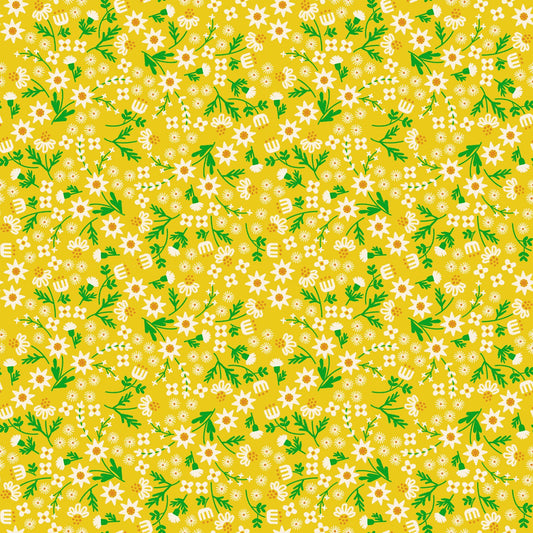 Favorite Flowers - Inflorescence - Golden Hour