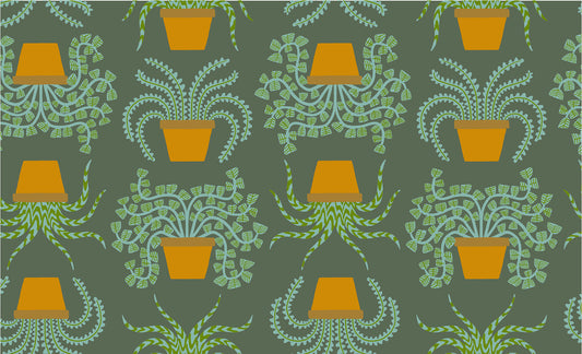 Calathea - Planties - Seaweed