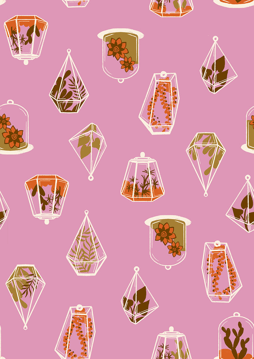 Calathea - Terrarium - Kiss