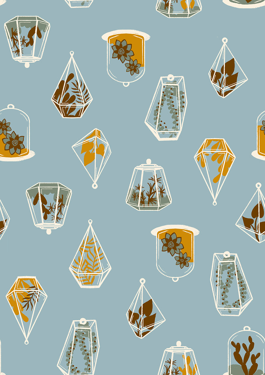 Calathea - Terrarium - Soft Blue