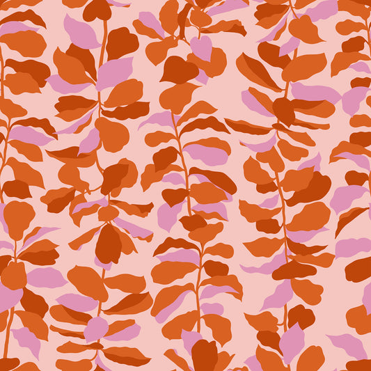 Calathea - Fiddle Leaf - Cayenne