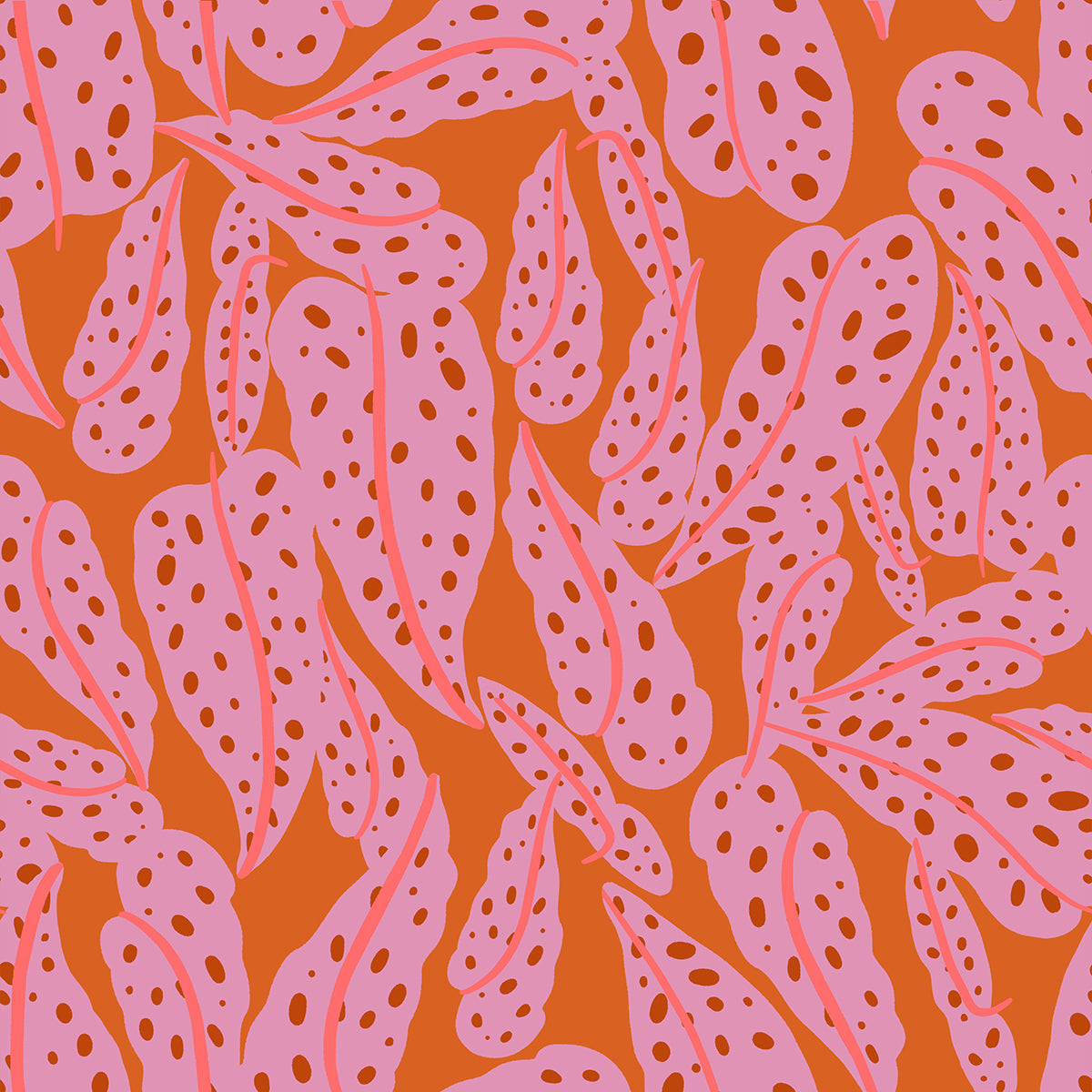 Calathea - Overlapping Leaves - Pecan